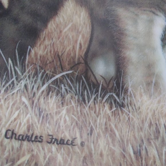 Small Wonders of the Wild Plate - Picture 3 of 7